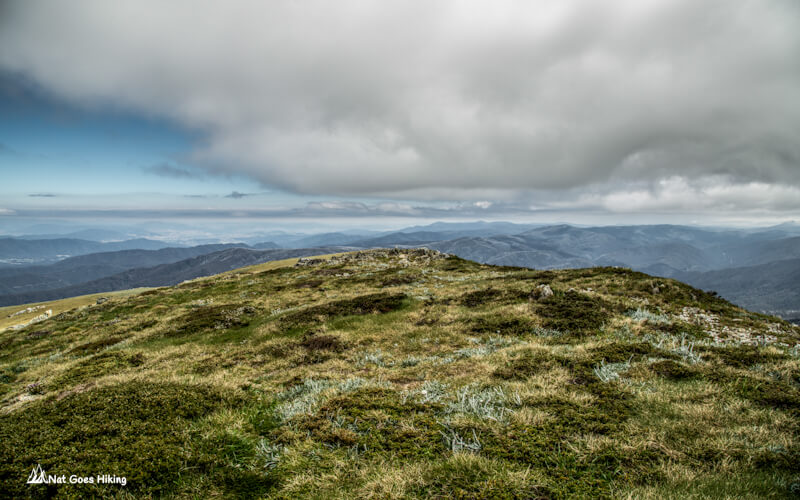 Highest Peaks Track - Tenison Woods Knoll