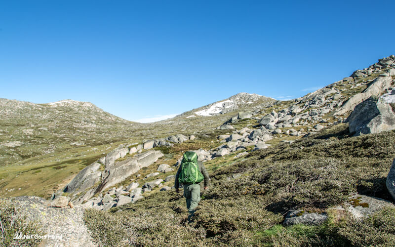 Highest Peaks Track - On the way to Mount Townsend