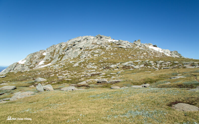 Highest Peaks Track - Mount Townsend