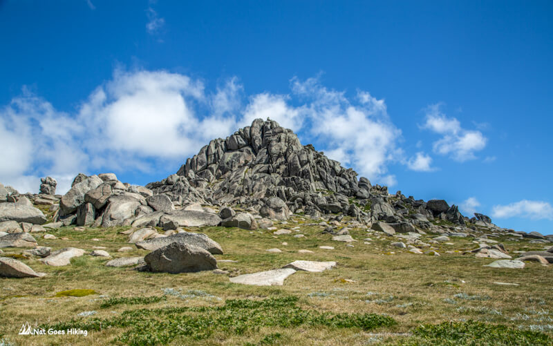 Rams Head North - Kosciuszko National Park