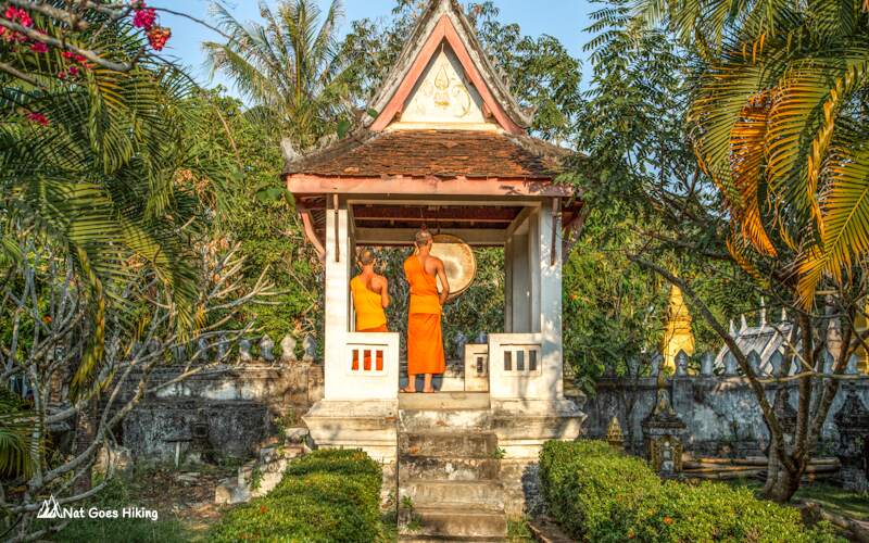 Buddhist monks