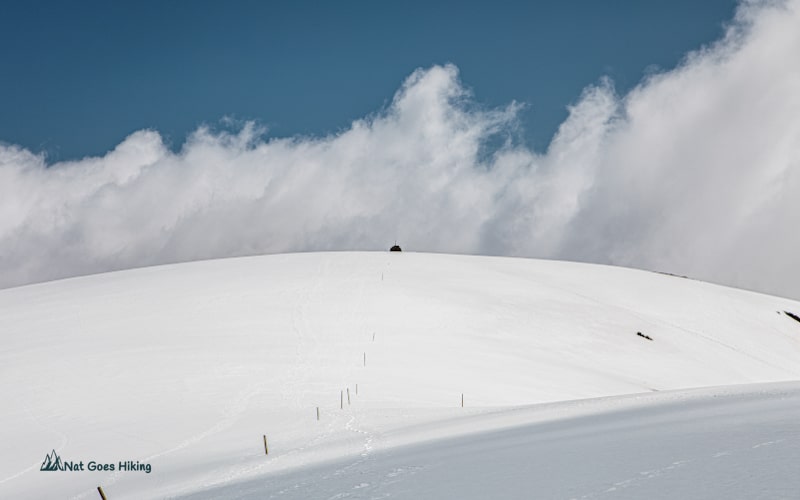 Mount Bogong