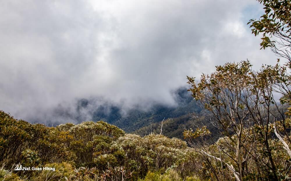 Mount Bogong Hike via Staircase Spur