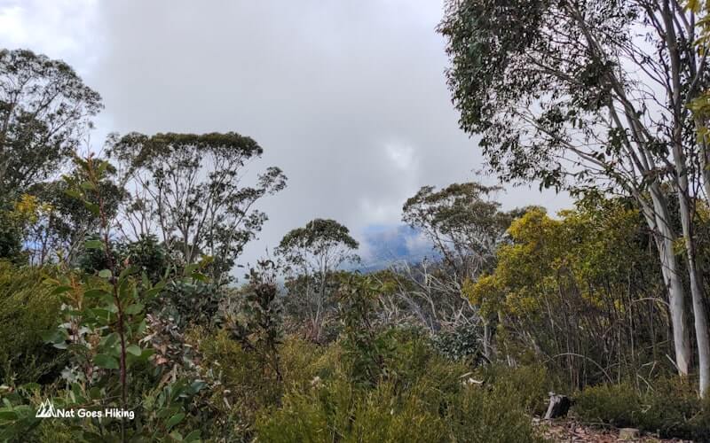 View from Bivouac Hut