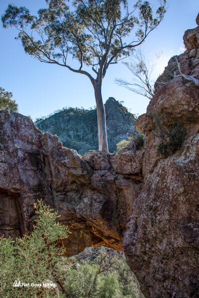Cathedral Arch in Warrumbungle National Park