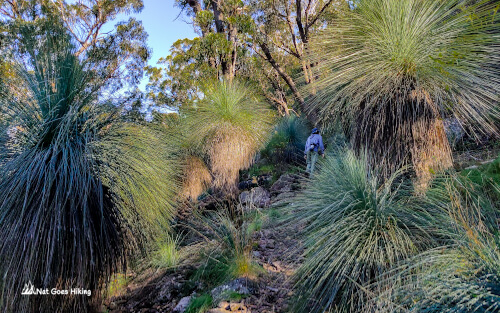 Warrumbungle National Park