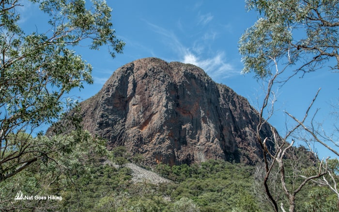 Bluff Mountain