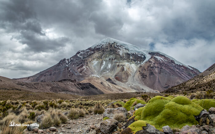 Top Things to Do in Bolivia - Sajama Volcano