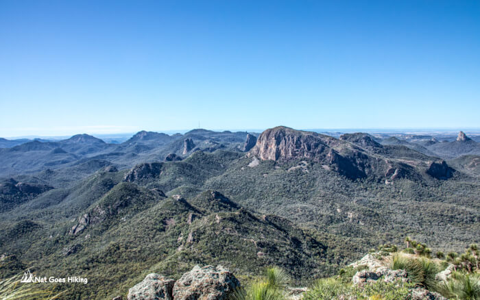 View from Mount Exmouth, Warrumbungle National Park