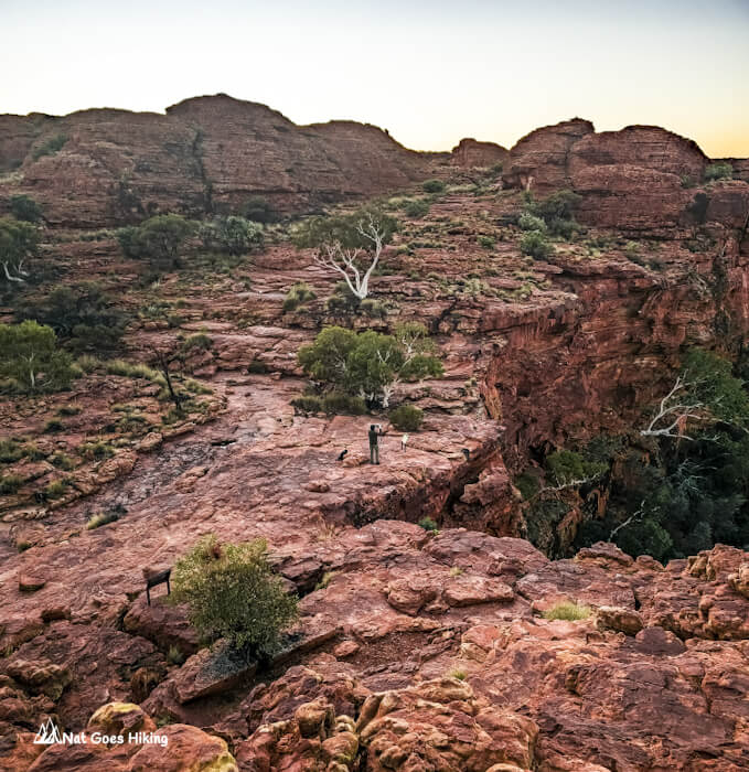 Kings Canyon Rim Walk