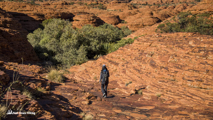 Kings Canyon Rim Walk