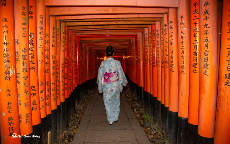 Fushimi Inari Torii Gates