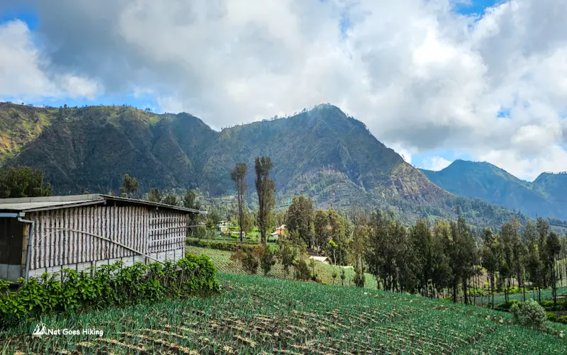 Cemoro Lawang