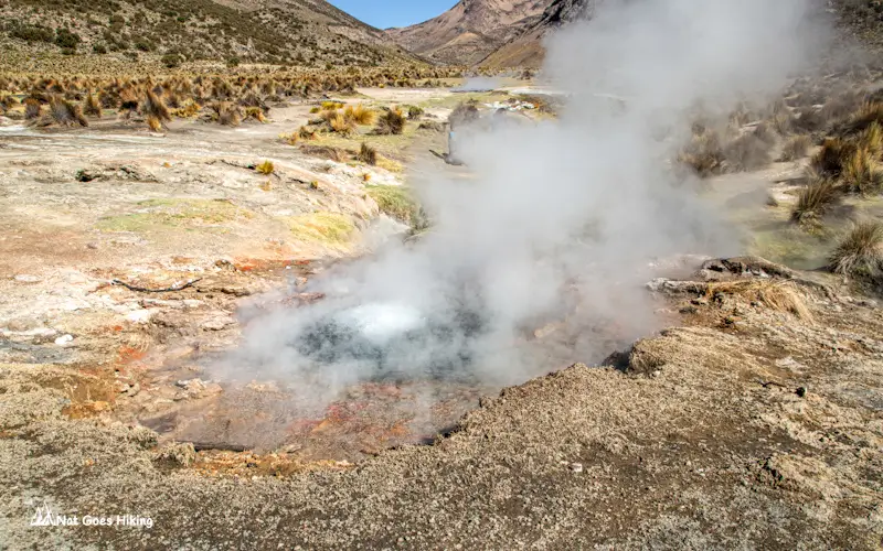 Altiplano geyser