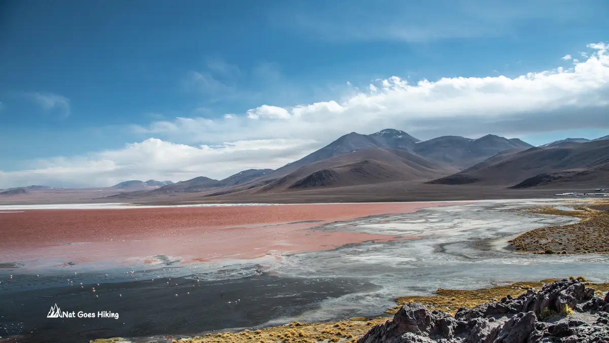 Laguna Colorada