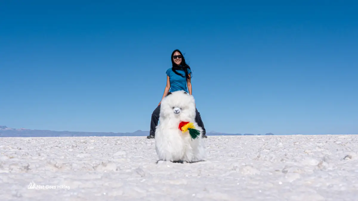 Salar de Uyuni: Independently or with a Tour