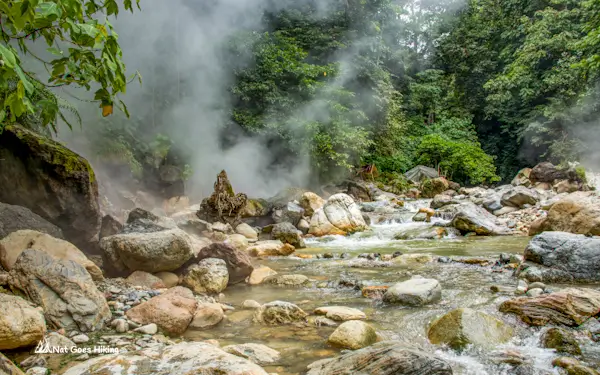Gunung Leuser NP hot springs
