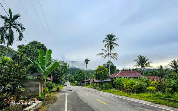 Ketambe