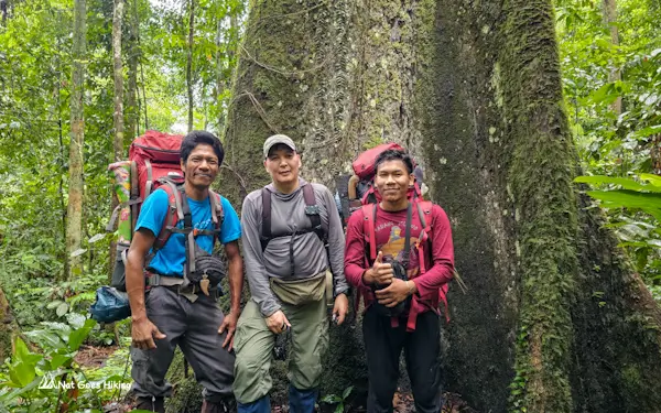 Ketambe orangutan jungle trek