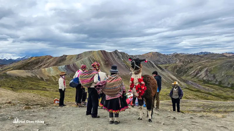 Llama and locals at Pallcoyo Rainbow Mountain