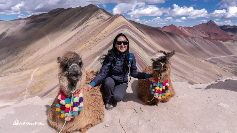 Llamas at Vinicunca Rainbow Mountain