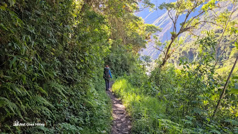 Salkantay Trek - Day 4