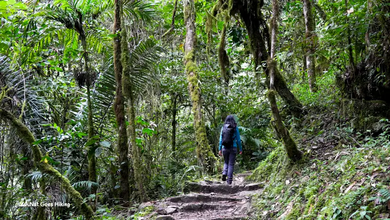 Gocta Waterfall Hike through cloud forest Peru
