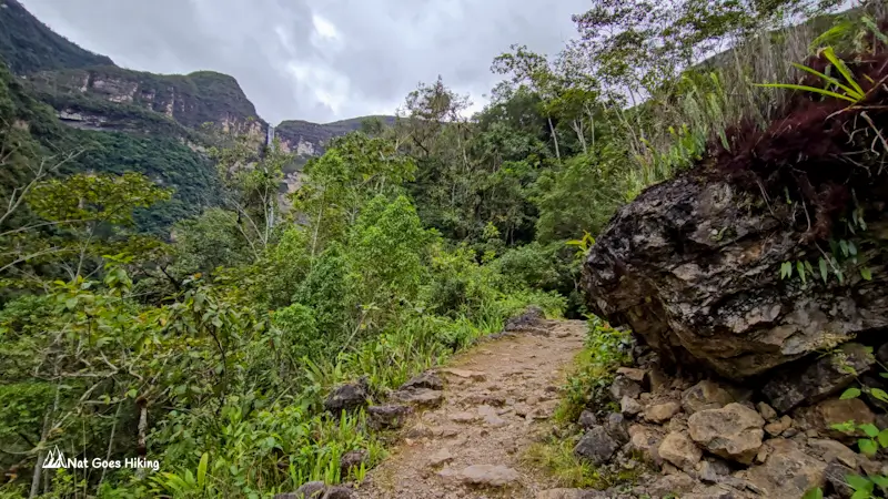 Gocta Waterfall view from the trail