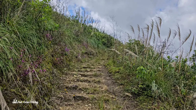 Path to Revash Mausoleums, northern Peru