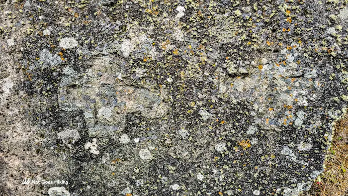 Petroglyphs at Cumbe Mayo, Cajamarca Peru