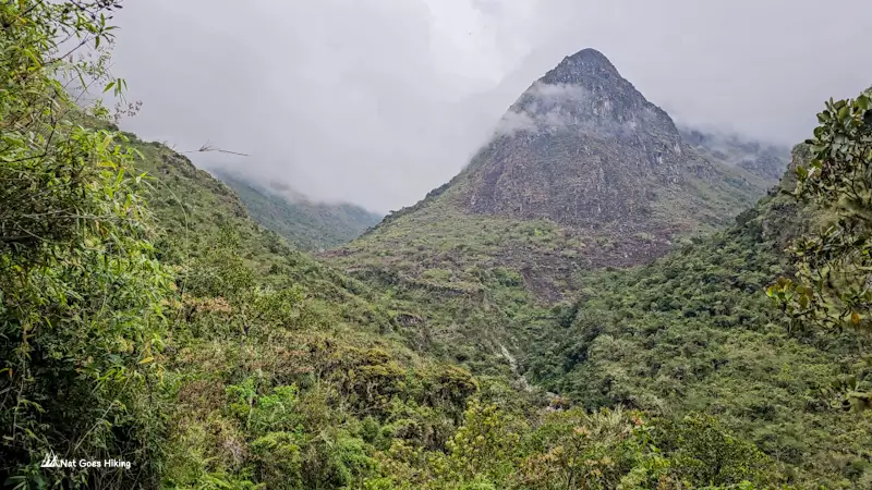 Rocky peak rising out of low cloud above green cloud forest on the El Choro Trek