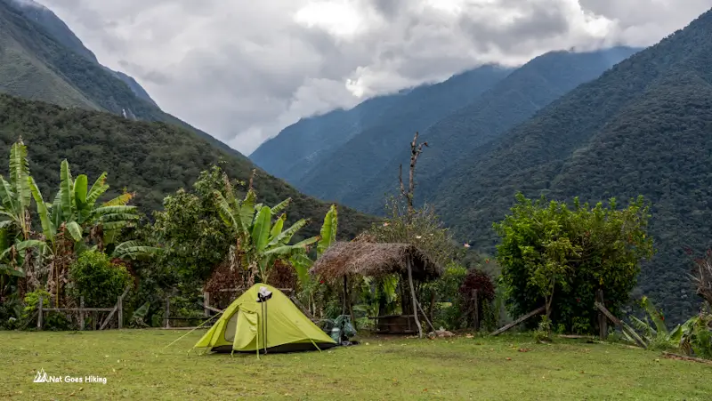 tent on a grassy campsite with banana plants in front of forested mountains at Buena Vista