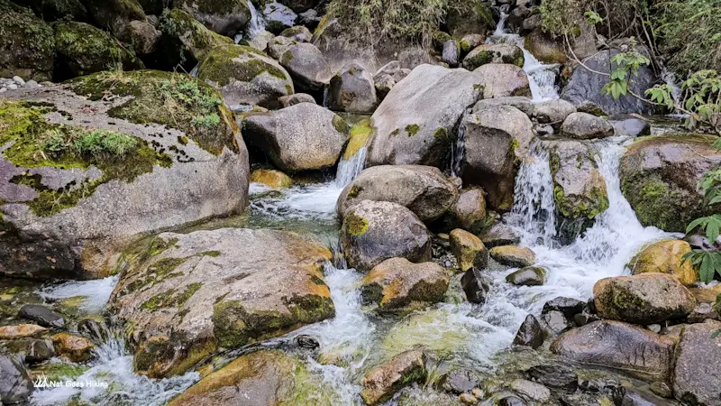 Rio Chucura tumbling over mossy boulders in small waterfalls at Rio Chucura on the El Choro Trek