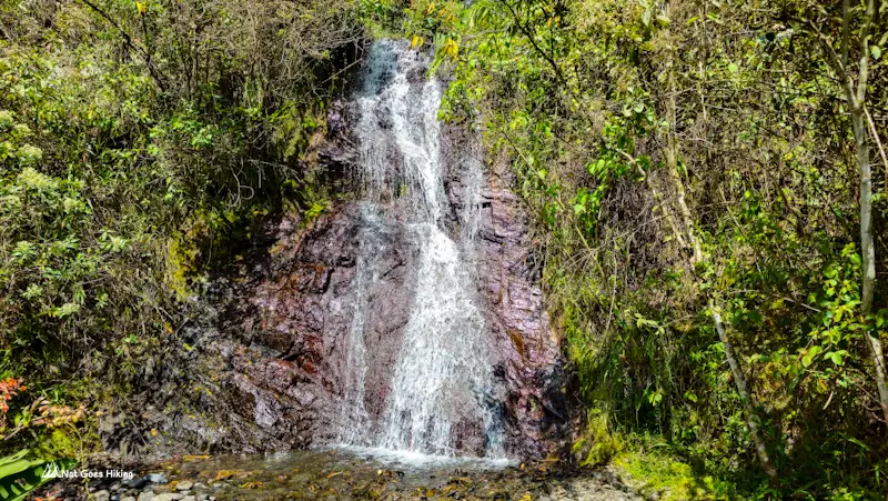 Small waterfall running down reddish rock surrounded by green shrubs beside the El Choro Trek